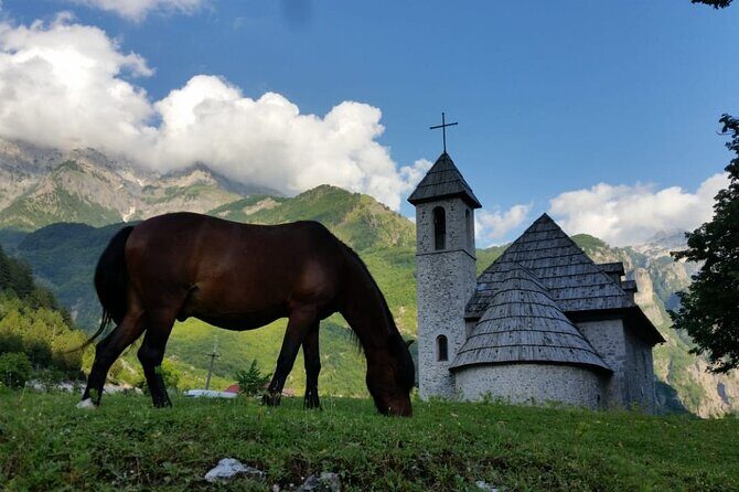 Self - Guided Peaks of the Balkans tour in 7 days - Day 5 to Doberdol: mule tracks, berries, bears/lynx territory, and basic hut life